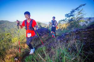 BIB: 261
                            <button type="button" onclick="openModal(19063657)" class="btn btn-primary btn-sm float-right btn-popup" data-toggle="modal" data-target=".modal-high-quality">
                        <i class="fas fa-shopping-cart"></i> Add to Cart
                    </button>
                                            <button type="button" onclick="isThisMe(19063657, true)" class="btn btn-success btn-sm float-right btn-popup btn-isme hidden" data-toggle="tooltip" data-placement="bottom" title="นี่คือรูปของคุณใช่ไหม คลิกที่นี่เพื่อเอาเข้าอัลบั้ม">
                        <i class="fas fa-plus"></i> Add to album
                    </button>
                    <button type="button" onclick="isThisMe(19063657, false)" class="btn btn-warning btn-sm float-right btn-popup btn-isnotme hidden">
                        <i class="fas fa-ban"></i> Remove from album
                    </button>